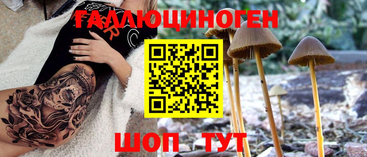 Галлюциногенные грибы Magic Shrooms  Галлюциногенные грибы Psilocybe  Вход с VPN  Белорецк 